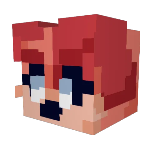 Catfinnated Minecraft avatar head, 3D render