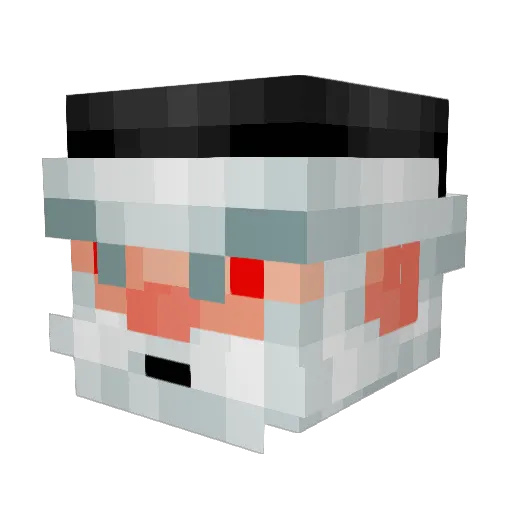 Catfish1236 Minecraft avatar head, 3D render