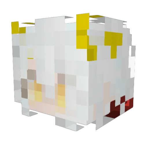 Catfish_nitrate Minecraft avatar head, 3D render