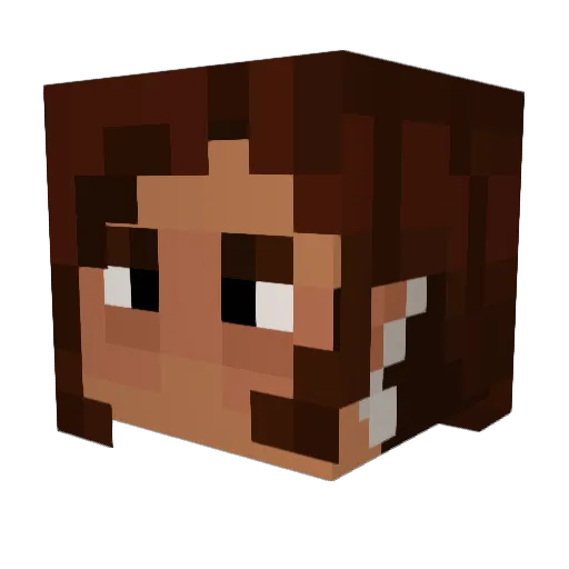 Catforce100 Minecraft avatar head, 3D render