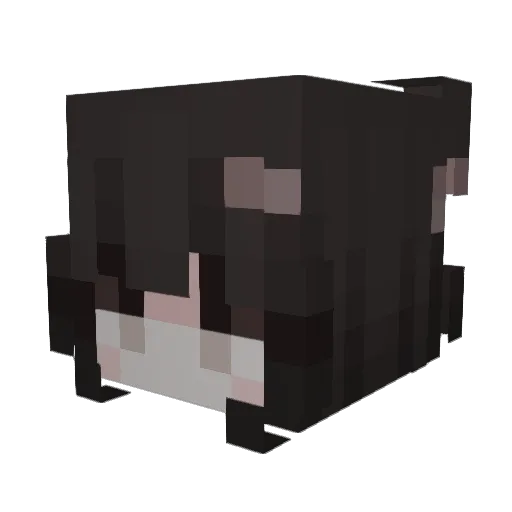 Catgjrl Minecraft avatar head, 3D render