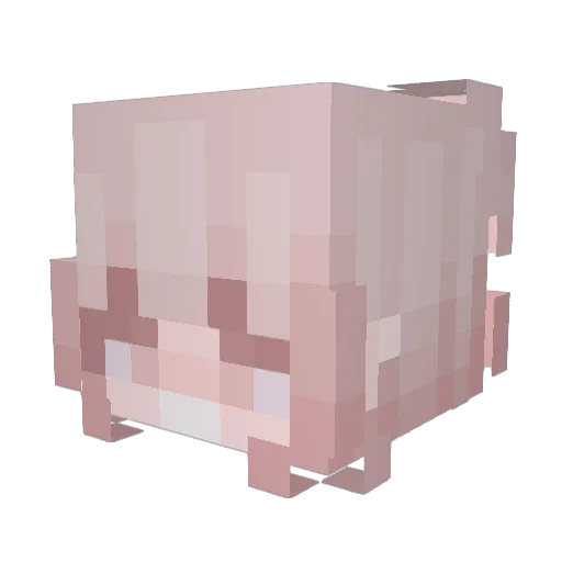 Cathiti Minecraft avatar head, 3D render