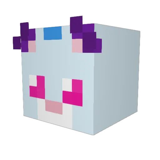 Cathog10 Minecraft avatar head, 3D render