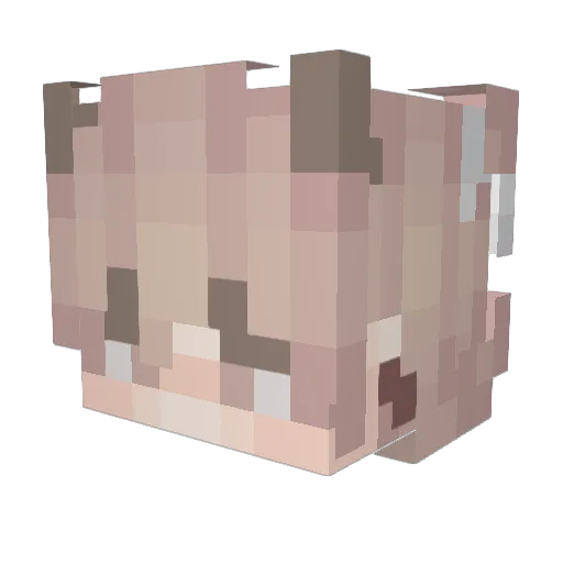 CatholicCooper Minecraft avatar head, 3D render