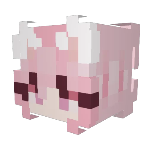 Cathy005 Minecraft avatar head, 3D render