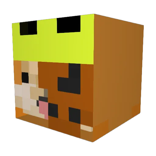 CathyFTW__ Minecraft avatar head, 3D render