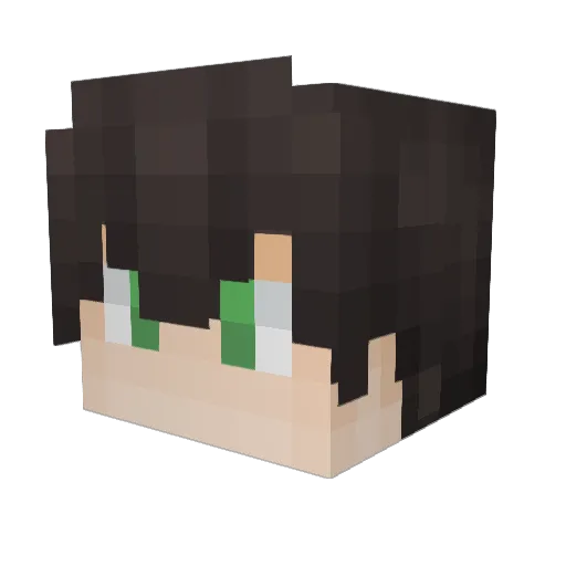 CatilGrass Minecraft avatar head, 3D render
