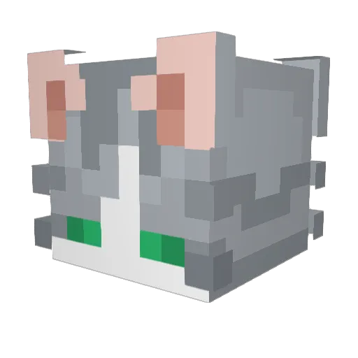 Catiniata Minecraft avatar head, 3D render