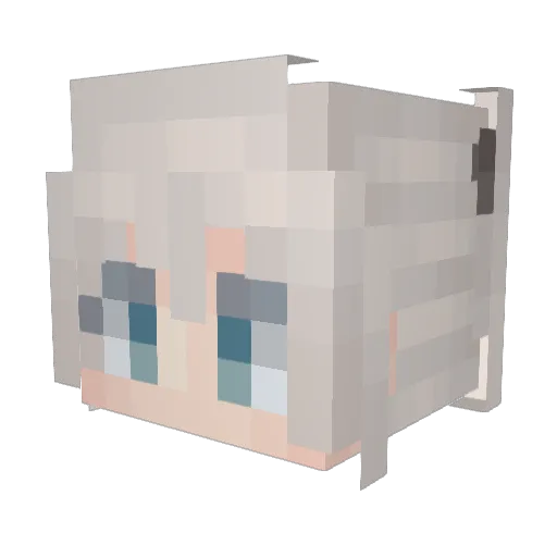Catites Minecraft avatar head, 3D render