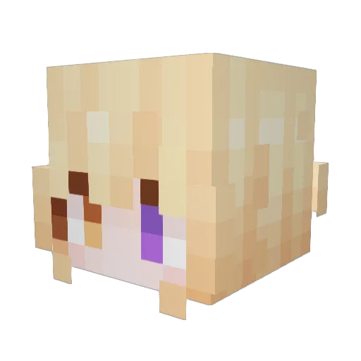 Catkins75 Minecraft avatar head, 3D render