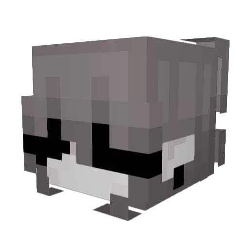 Catkir Minecraft avatar head, 3D render