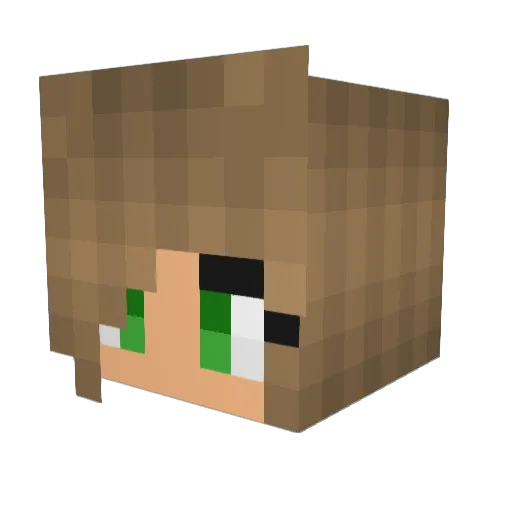 Catlady456 Minecraft avatar head, 3D render