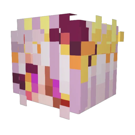CatlasMeowmere Minecraft avatar head, 3D render