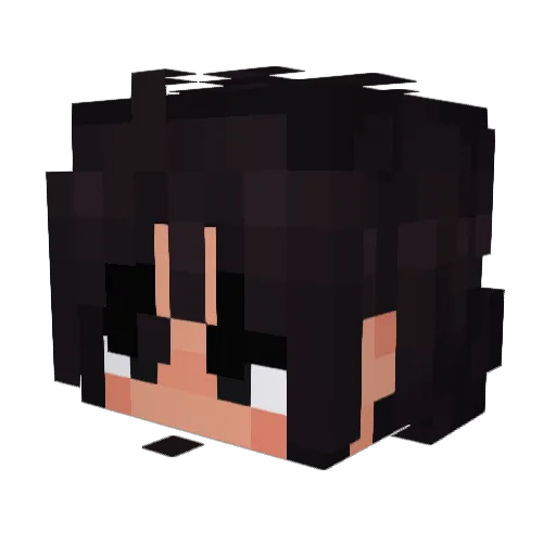 Catlaust Minecraft avatar head, 3D render