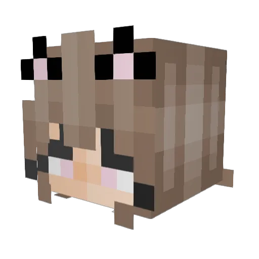 CatlightWhat_ Minecraft avatar head, 3D render