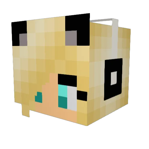 Catlover123455 Minecraft avatar head, 3D render