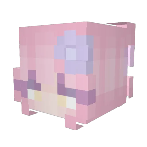 Catlover_Emery Minecraft avatar head, 3D render