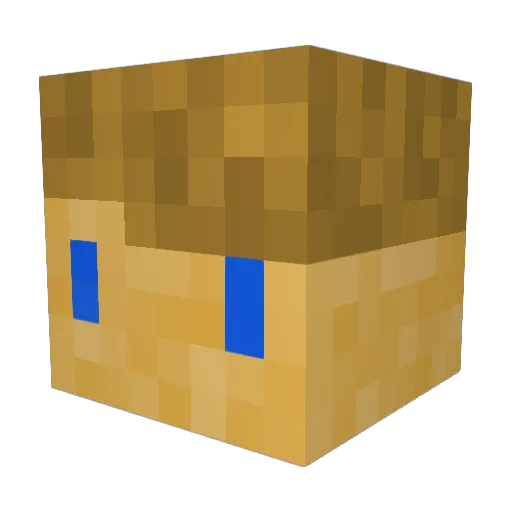 Catman2009 Minecraft avatar head, 3D render