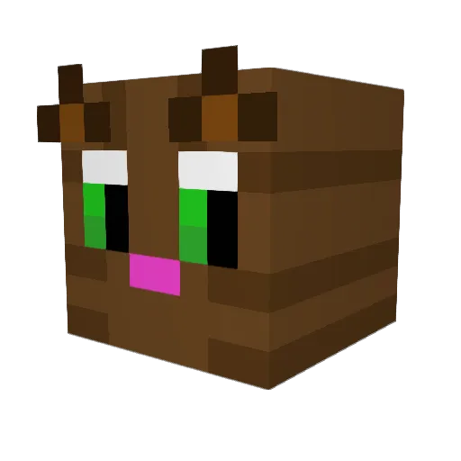 Catman4466 Minecraft avatar head, 3D render