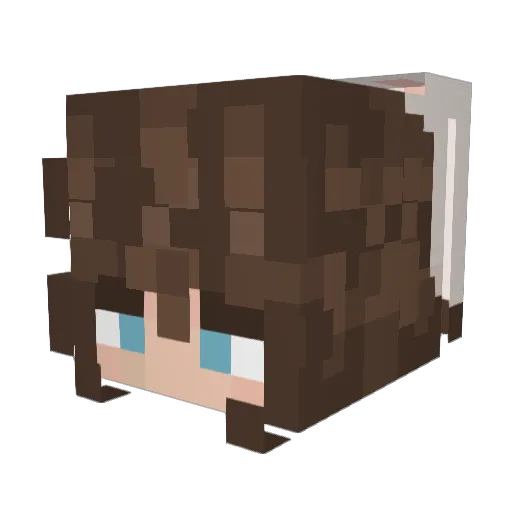 Catmeow9407 Minecraft avatar head, 3D render