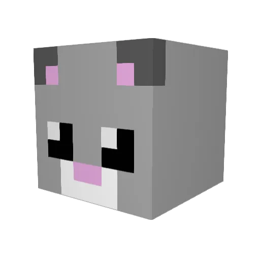 Catnip000 Minecraft avatar head, 3D render