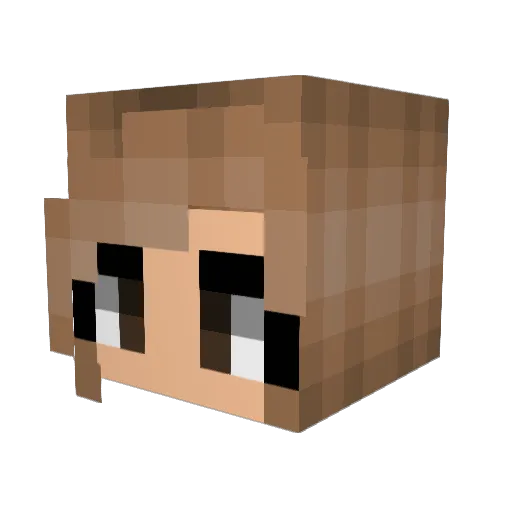 Catnip101 Minecraft avatar head, 3D render