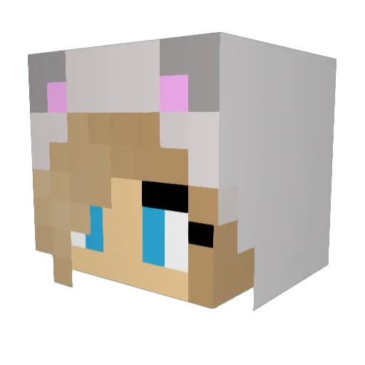 Catnipkili Minecraft avatar head, 3D render