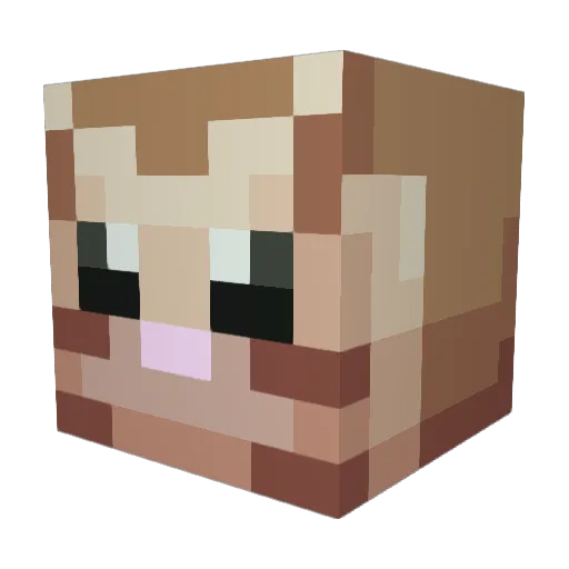 Catnipss Minecraft avatar head, 3D render