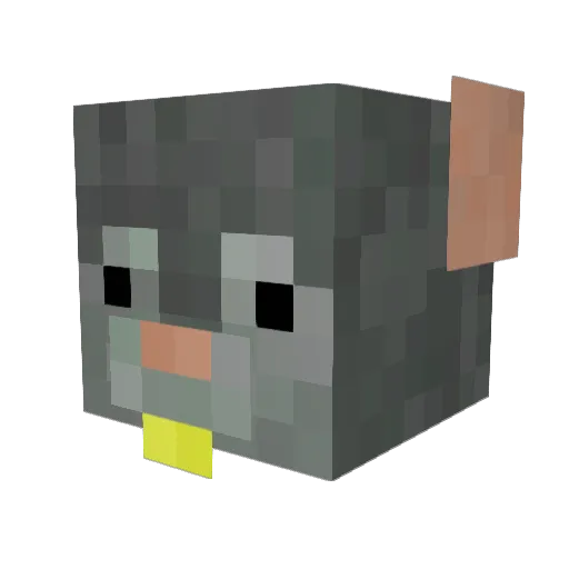 Cato862 Minecraft avatar head, 3D render
