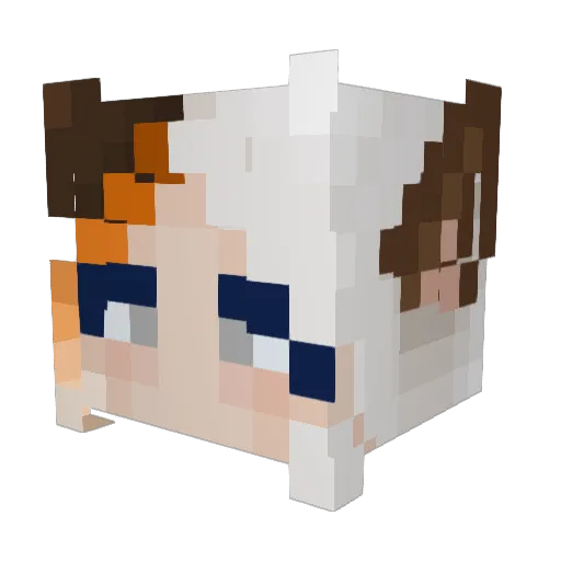CatonaComputer Minecraft avatar head, 3D render