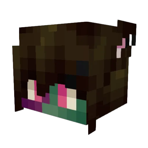 Catonezzi Minecraft avatar head, 3D render