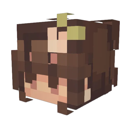 Catoosa Minecraft avatar head, 3D render