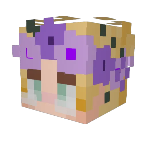 Catorise Minecraft avatar head, 3D render