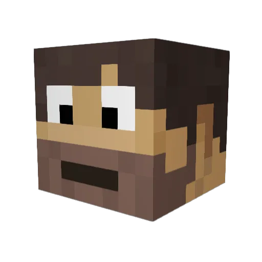 Catovxe Minecraft avatar head, 3D render