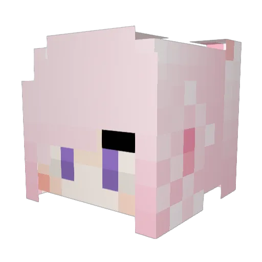 Catpan8 Minecraft avatar head, 3D render