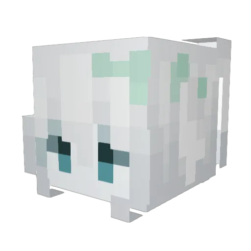 Catr7n Minecraft avatar head, 3D render