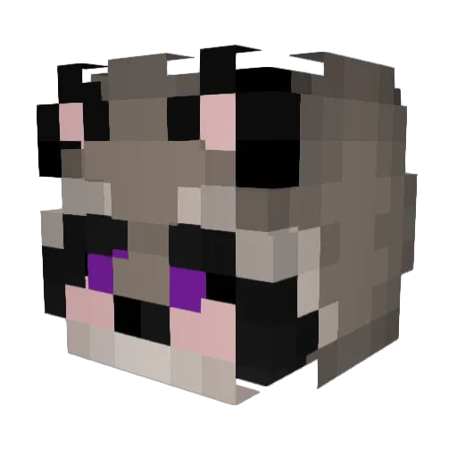 Catra_XO Minecraft avatar head, 3D render