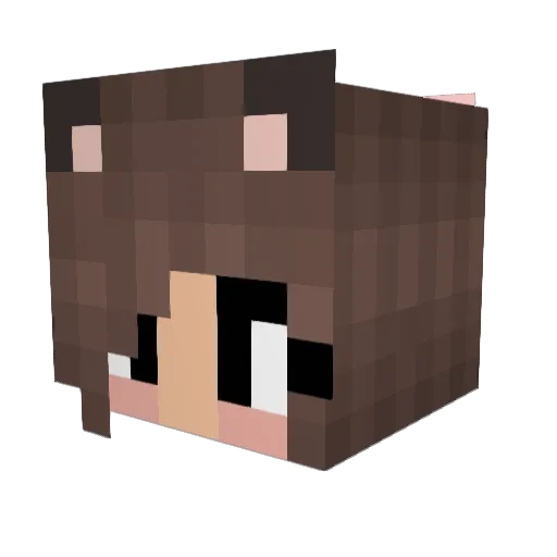 Catrichor Minecraft avatar head, 3D render