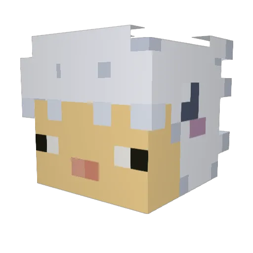 Catrick_ Minecraft avatar head, 3D render
