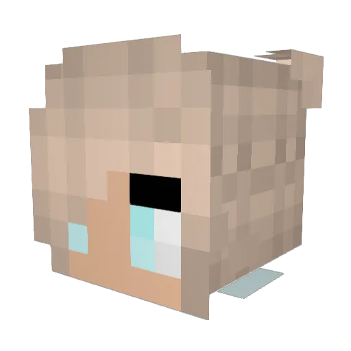 Catrina010 Minecraft avatar head, 3D render
