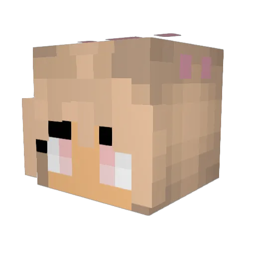 CatrineSejr Minecraft avatar head, 3D render