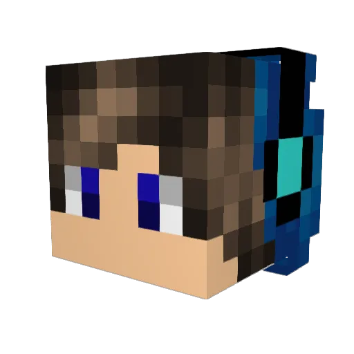 Cats4everandog Minecraft avatar head, 3D render