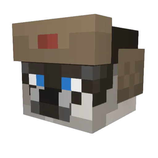 Cats7812 Minecraft avatar head, 3D render