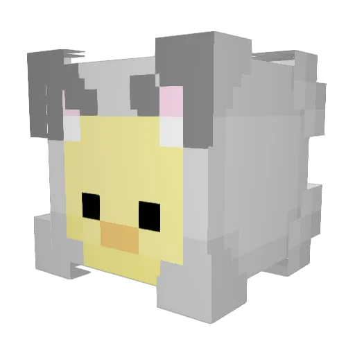 CatsAreDucks Minecraft avatar head, 3D render