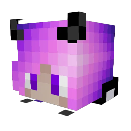 CatsCanFLYY Minecraft avatar head, 3D render