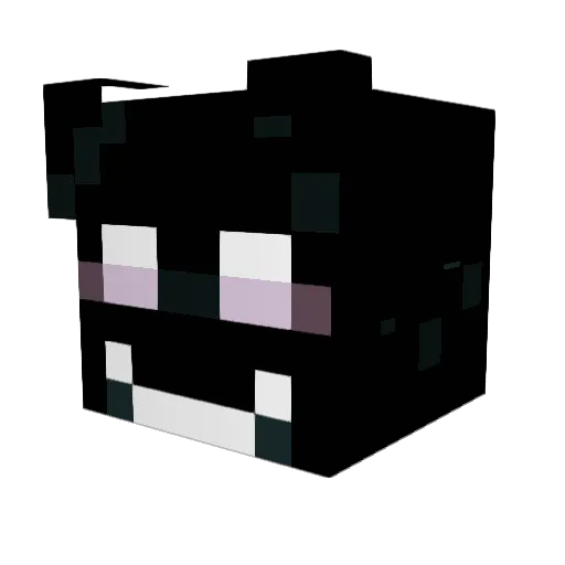 CatsInHatz Minecraft avatar head, 3D render
