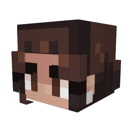 CatsRmyStyle Minecraft avatar head, 3D render