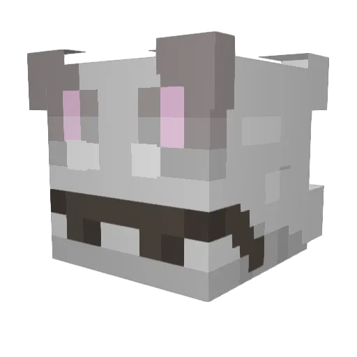 CatsRule728 Minecraft avatar head, 3D render