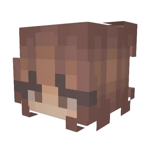 CatsTwo16 Minecraft avatar head, 3D render