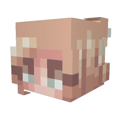 Cats_Are_Liquid Minecraft avatar head, 3D render